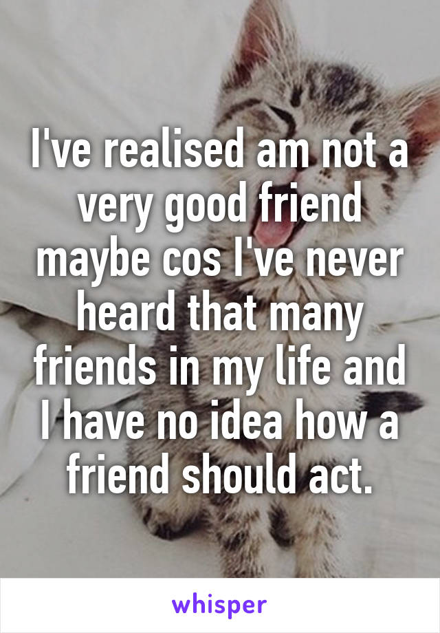 I've realised am not a very good friend maybe cos I've never heard that many friends in my life and I have no idea how a friend should act.