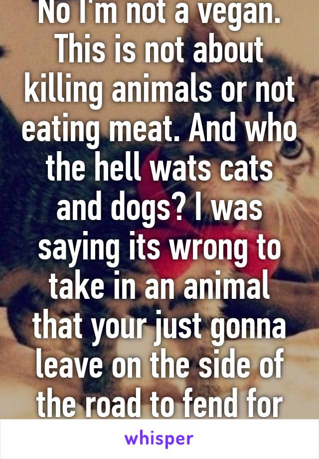 No I'm not a vegan. This is not about killing animals or not eating meat. And who the hell wats cats and dogs? I was saying its wrong to take in an animal that your just gonna leave on the side of the road to fend for itself.