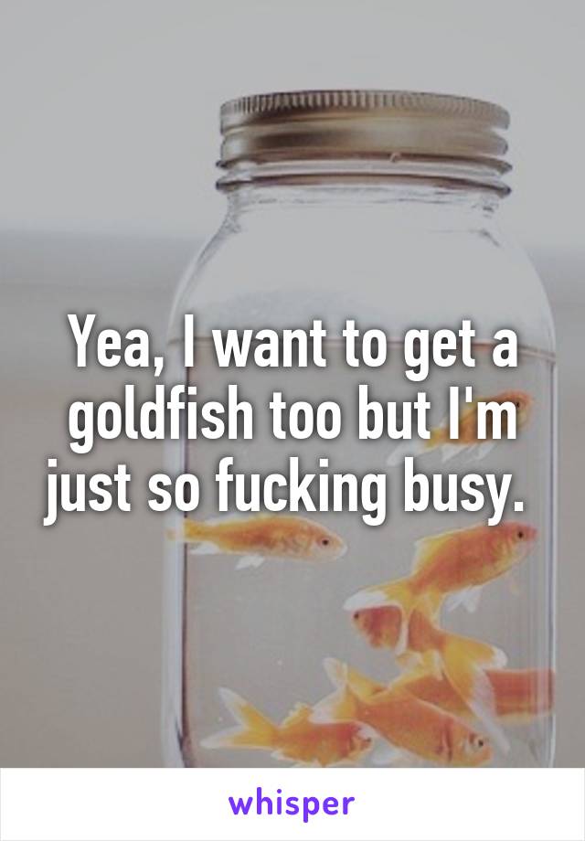 Yea, I want to get a goldfish too but I'm just so fucking busy. 