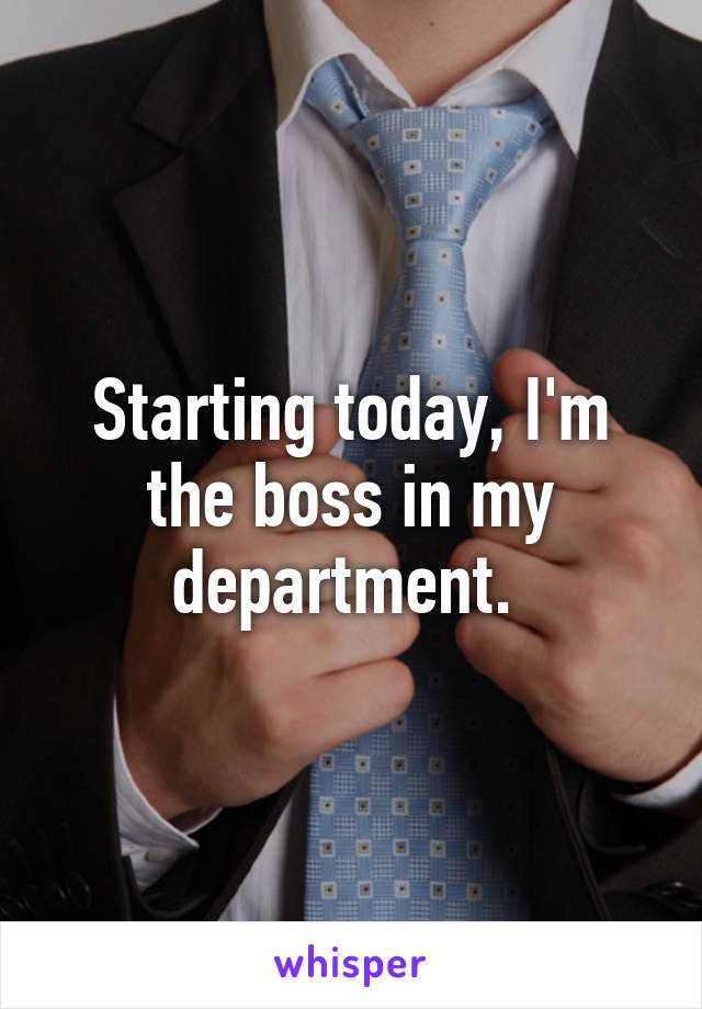 Starting today, I'm the boss in my department. 