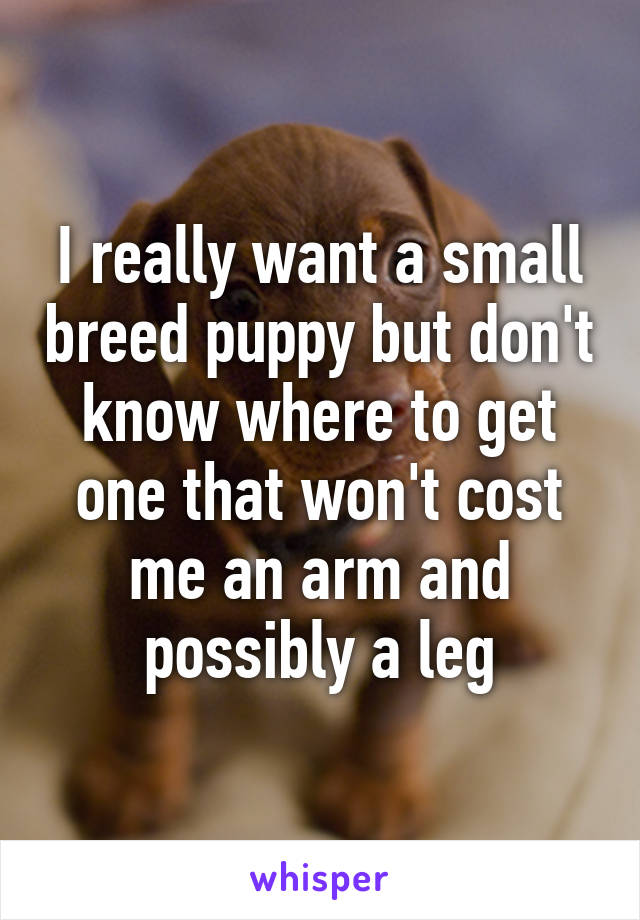 I really want a small breed puppy but don't know where to get one that won't cost me an arm and possibly a leg