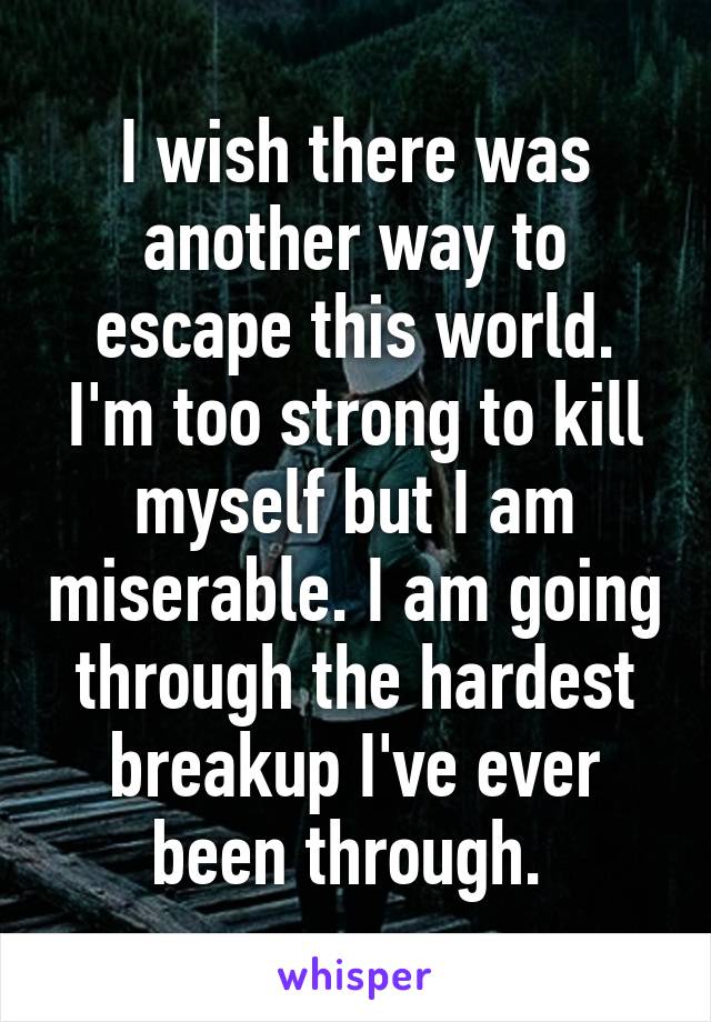 I wish there was another way to escape this world. I'm too strong to kill myself but I am miserable. I am going through the hardest breakup I've ever been through. 