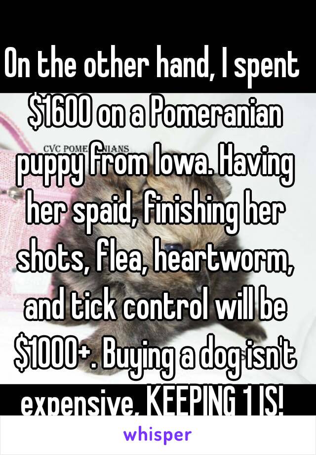 On the other hand, I spent $1600 on a Pomeranian puppy from Iowa. Having her spaid, finishing her shots, flea, heartworm, and tick control will be $1000+. Buying a dog isn't expensive, KEEPING 1 IS! 