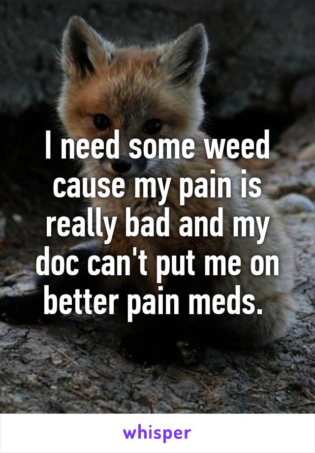 I need some weed cause my pain is really bad and my doc can't put me on better pain meds. 