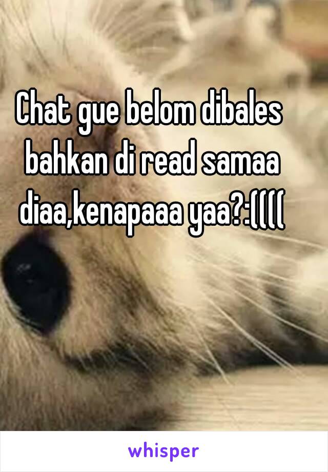 Chat gue belom dibales bahkan di read samaa diaa,kenapaaa yaa?:((((