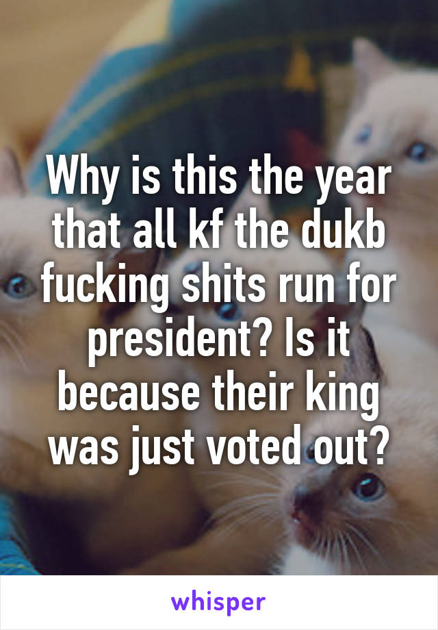 Why is this the year that all kf the dukb fucking shits run for president? Is it because their king was just voted out?