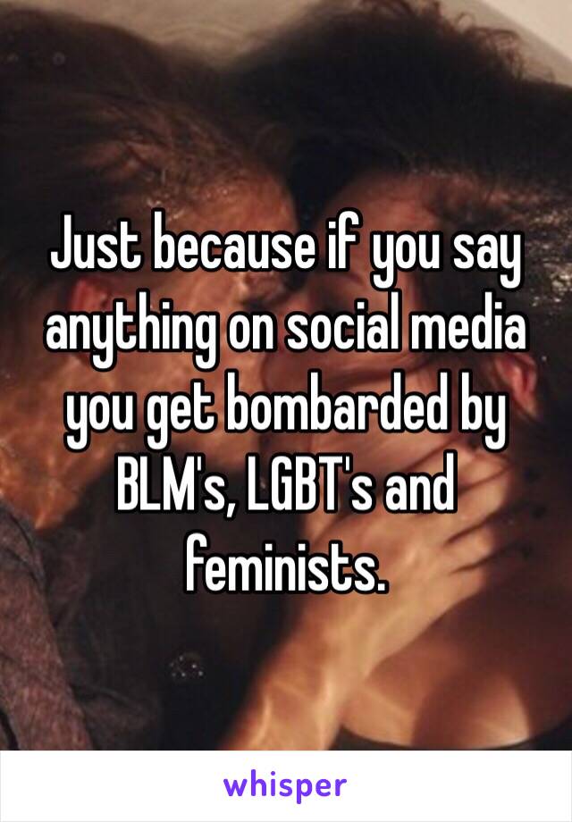 Just because if you say anything on social media you get bombarded by BLM's, LGBT's and feminists. 