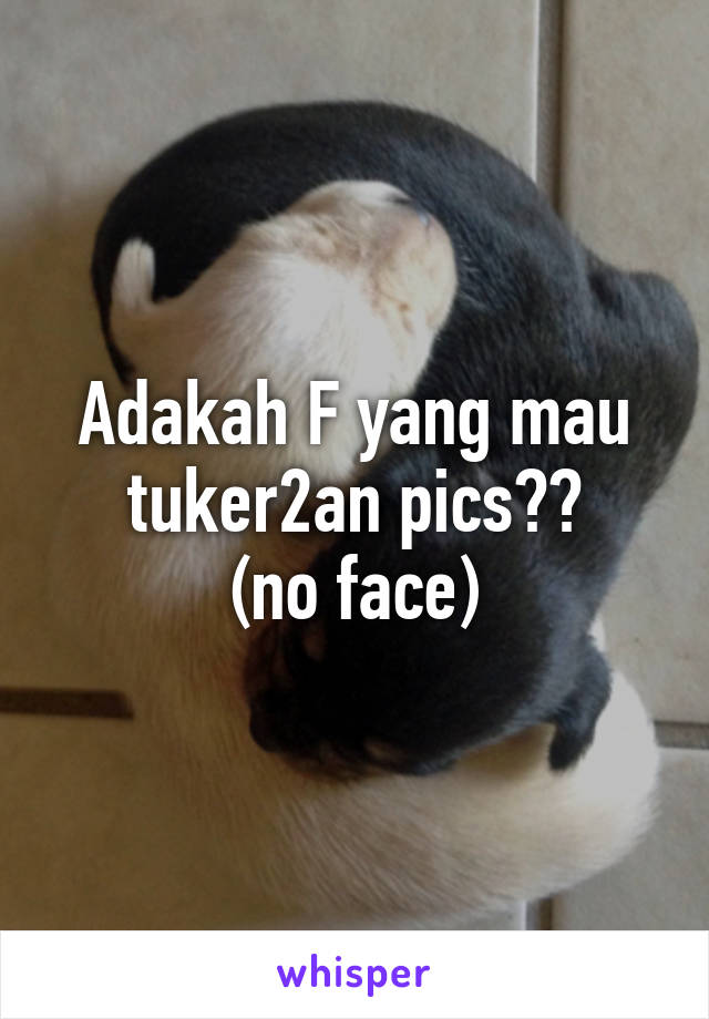 Adakah F yang mau tuker2an pics??
(no face)