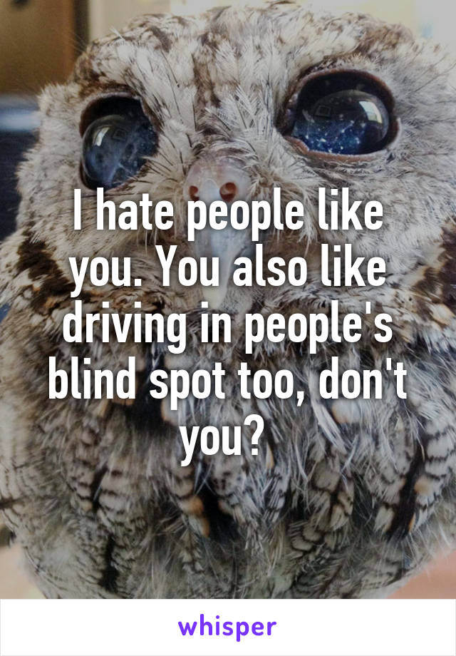 I hate people like you. You also like driving in people's blind spot too, don't you? 