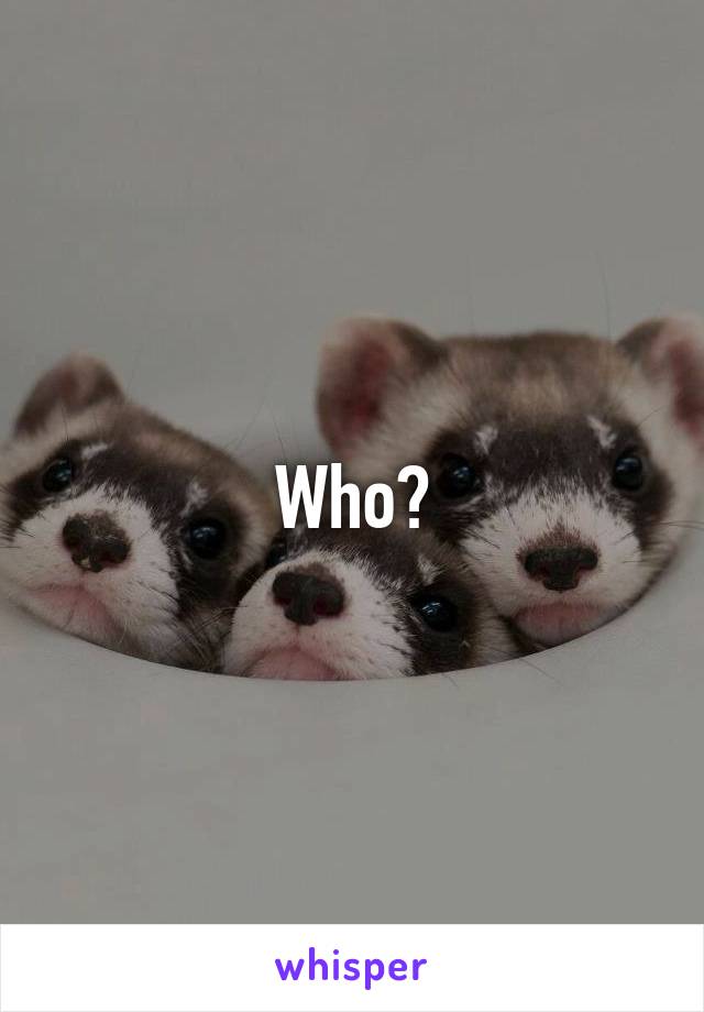 Who?