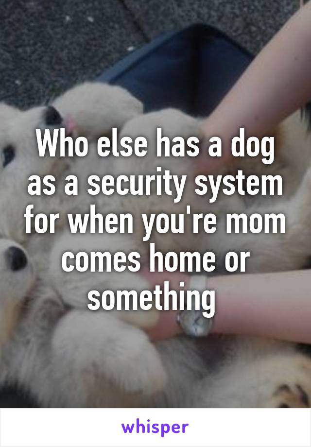 Who else has a dog as a security system for when you're mom comes home or something 