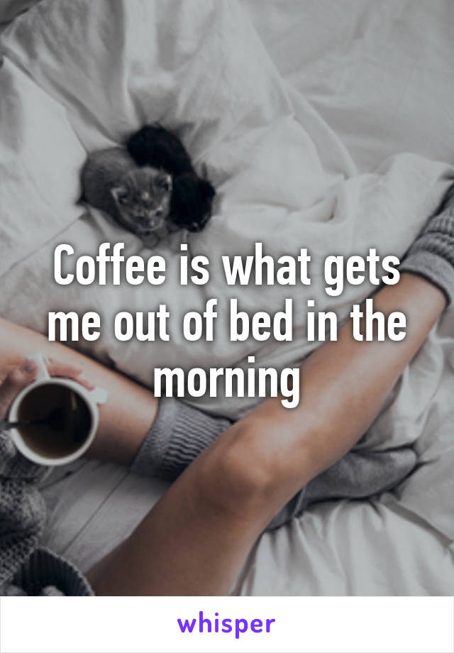 Coffee is what gets me out of bed in the morning