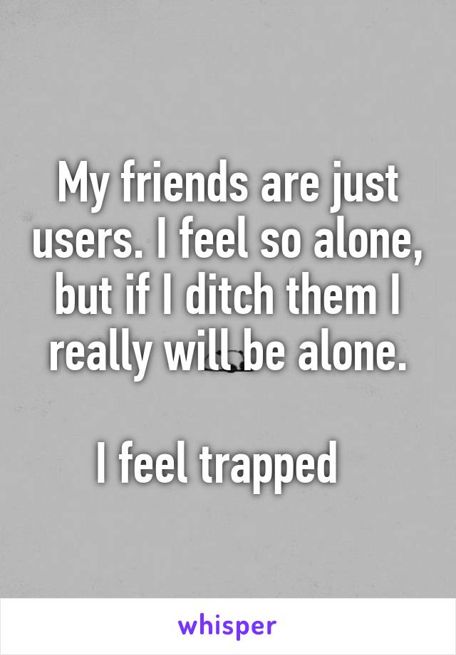 My friends are just users. I feel so alone, but if I ditch them I really will be alone.

I feel trapped  