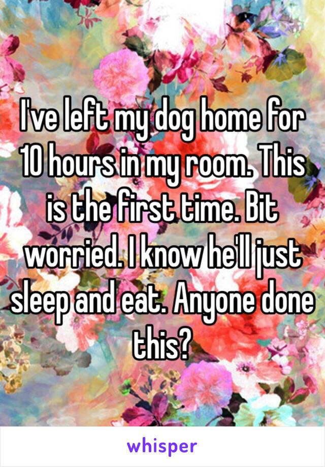 I've left my dog home for 10 hours in my room. This is the first time. Bit worried. I know he'll just sleep and eat. Anyone done this? 