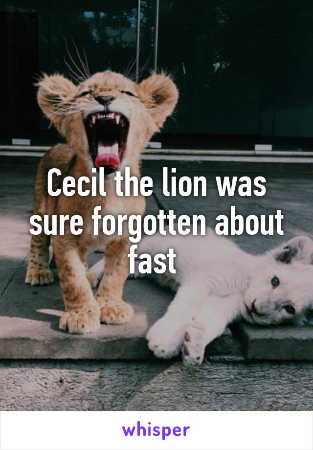 Cecil the lion was sure forgotten about fast 