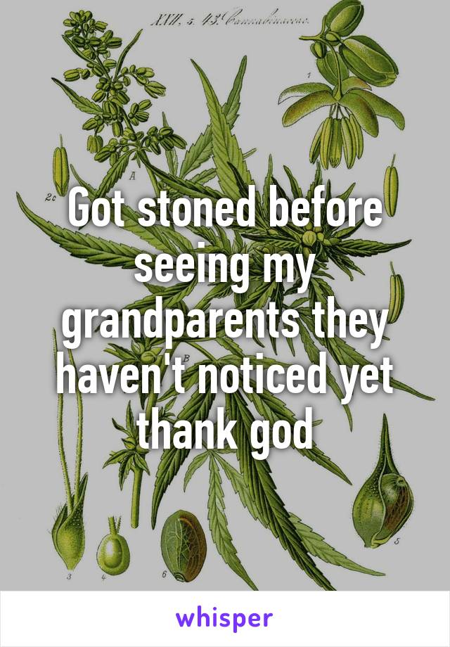 Got stoned before seeing my grandparents they haven't noticed yet thank god