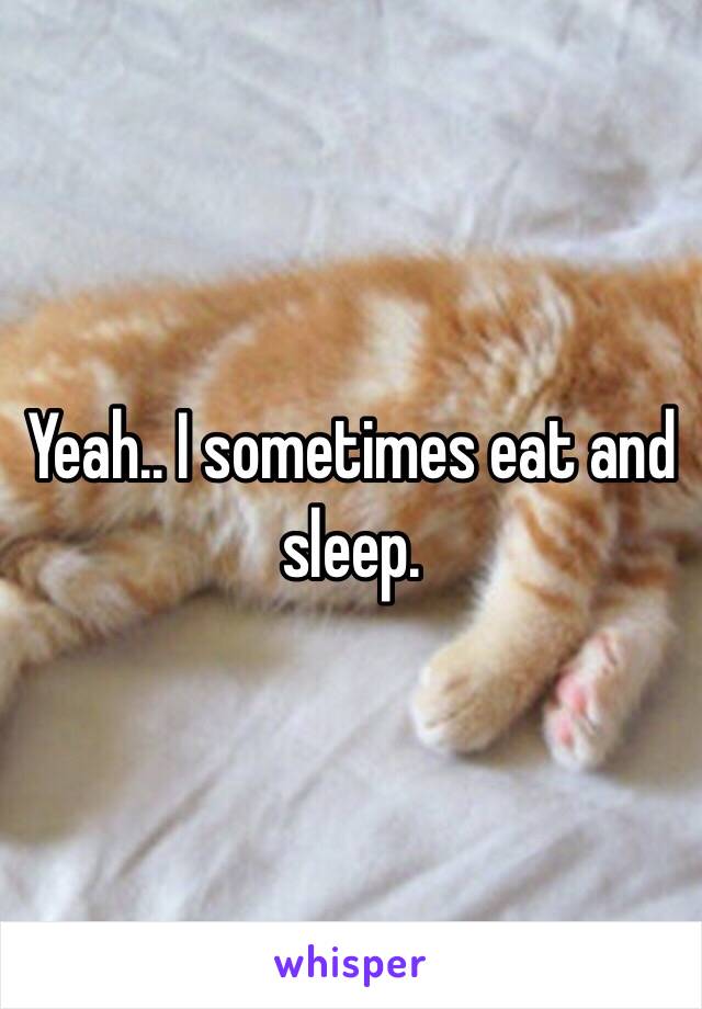 Yeah.. I sometimes eat and sleep.