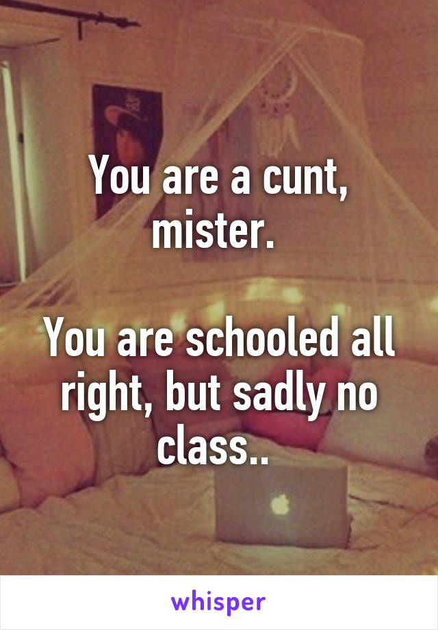 You are a cunt, mister. 

You are schooled all right, but sadly no class.. 