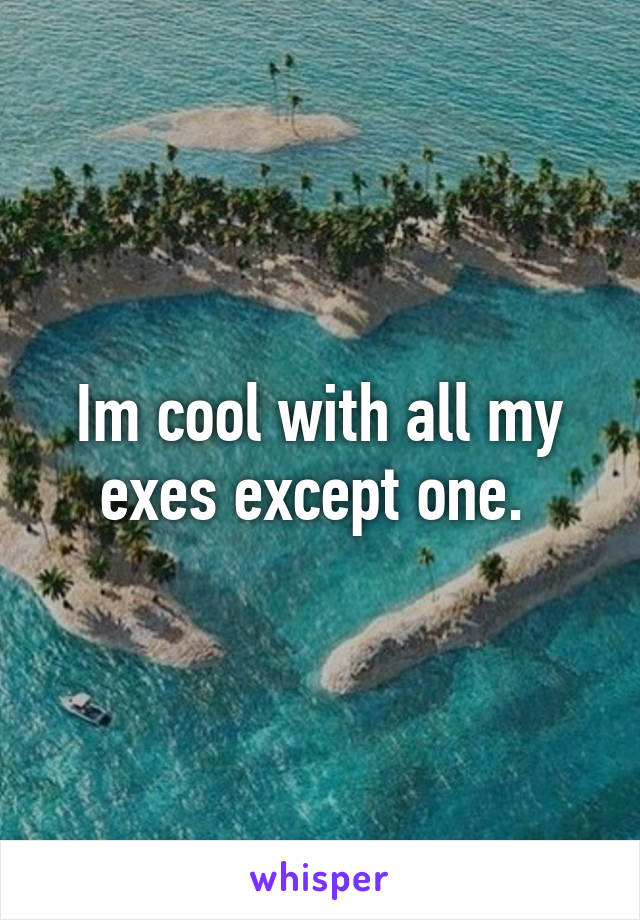 Im cool with all my exes except one. 