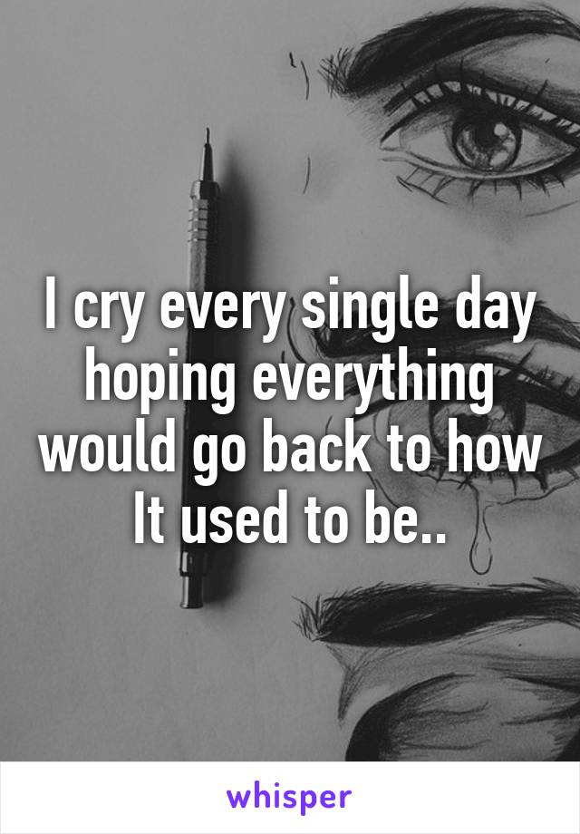 I cry every single day hoping everything would go back to how It used to be..