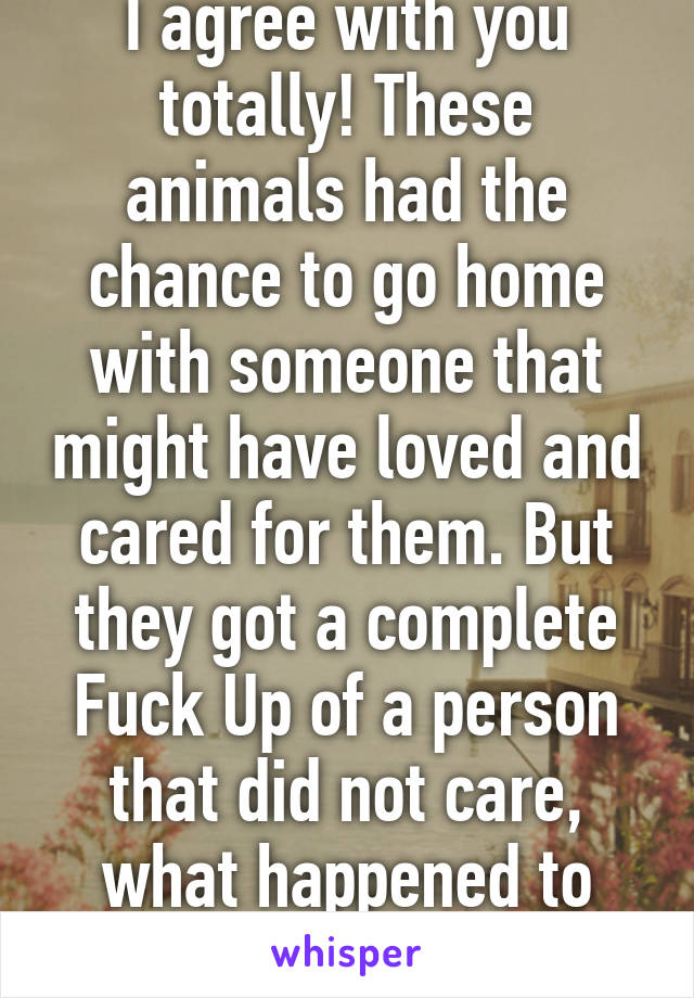 I agree with you totally! These animals had the chance to go home with someone that might have loved and cared for them. But they got a complete Fuck Up of a person that did not care, what happened to them! That is BS!