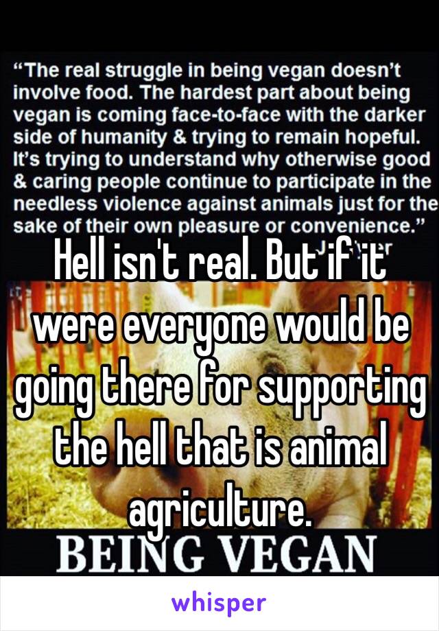 Hell isn't real. But if it were everyone would be going there for supporting the hell that is animal agriculture. 