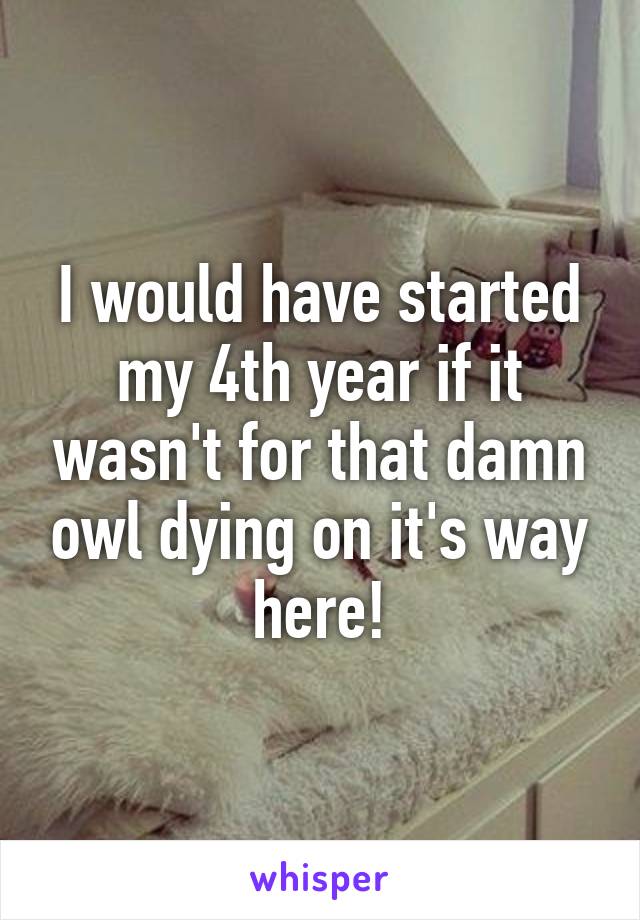 I would have started my 4th year if it wasn't for that damn owl dying on it's way here!