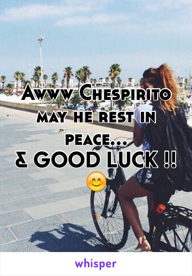 Awww Chespirito may he rest in peace...
& GOOD LUCK !! 😊