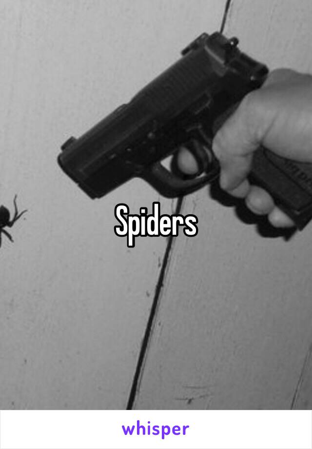 Spiders 