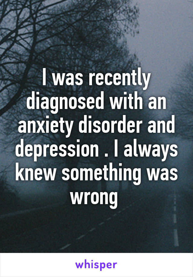 I was recently diagnosed with an anxiety disorder and depression . I always knew something was wrong 