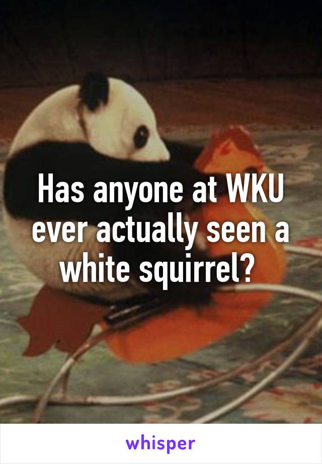 Has anyone at WKU ever actually seen a white squirrel? 