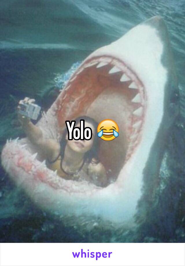 Yolo 😂