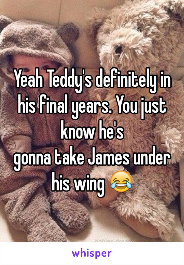 Yeah Teddy's definitely in his final years. You just know he's
 gonna take James under his wing 😂