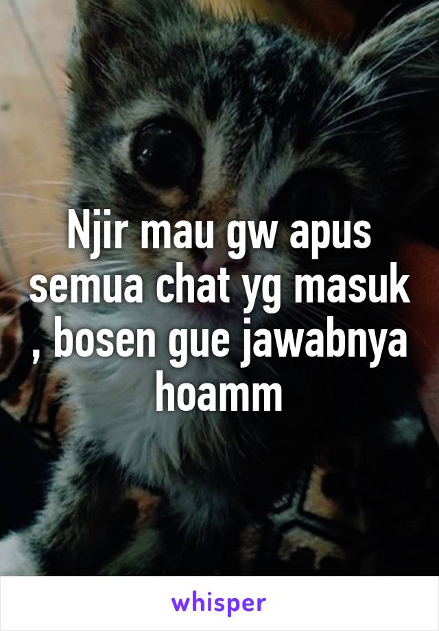 Njir mau gw apus semua chat yg masuk , bosen gue jawabnya hoamm