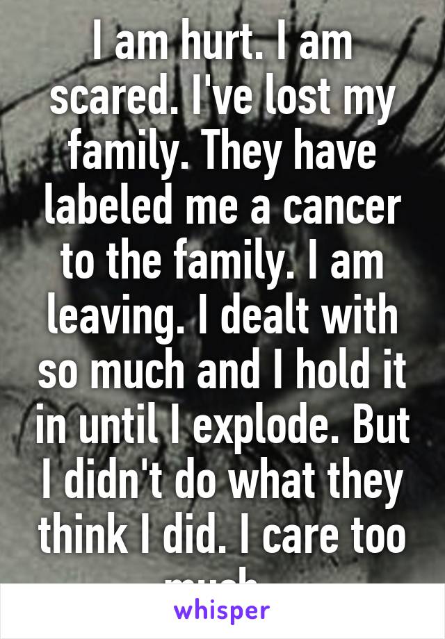 I am hurt. I am scared. I've lost my family. They have labeled me a cancer to the family. I am leaving. I dealt with so much and I hold it in until I explode. But I didn't do what they think I did. I care too much. 