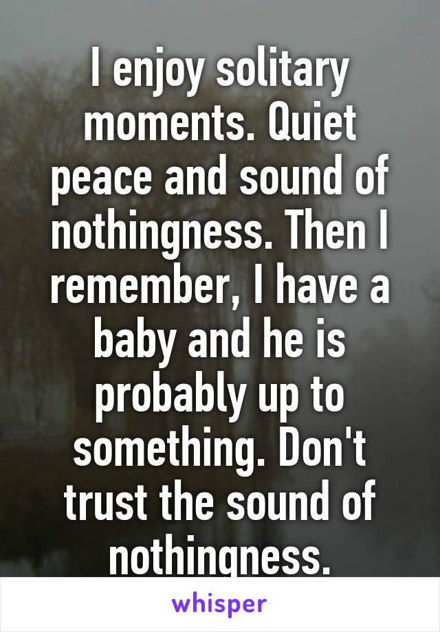 I enjoy solitary moments. Quiet peace and sound of nothingness. Then I remember, I have a baby and he is probably up to something. Don't trust the sound of nothingness.