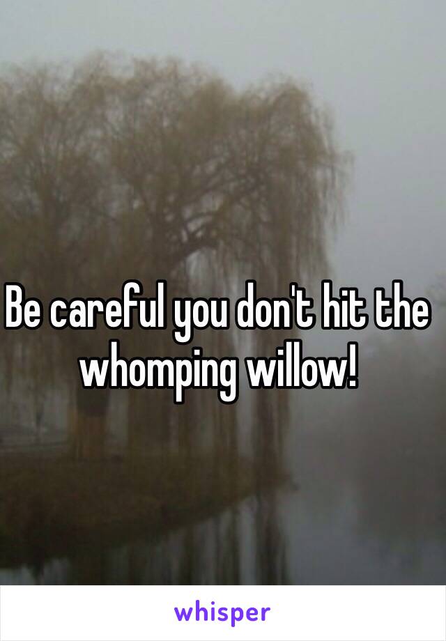 Be careful you don't hit the whomping willow! 