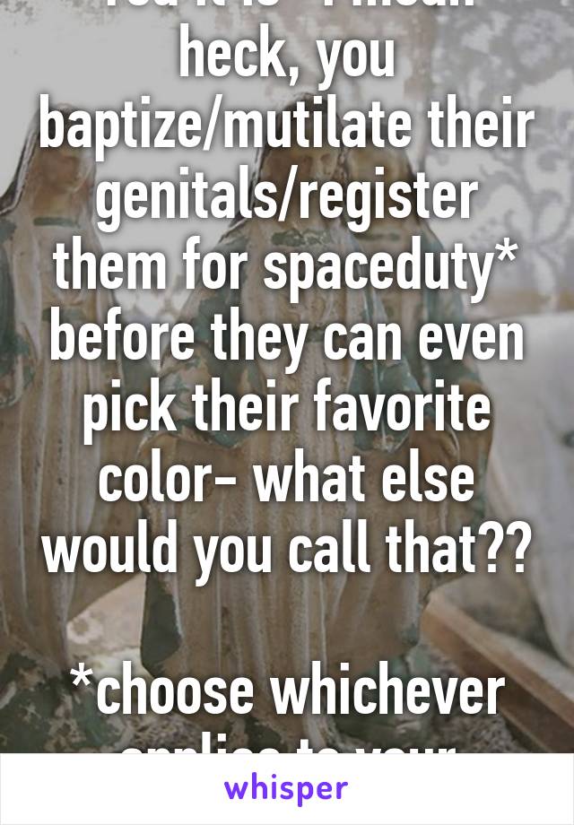 Yea it is- i mean heck, you baptize/mutilate their genitals/register them for spaceduty* before they can even pick their favorite color- what else would you call that??

*choose whichever applies to your religion