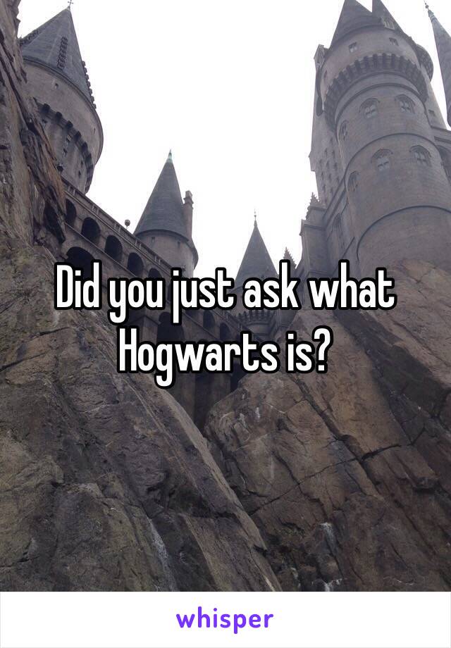 Did you just ask what Hogwarts is?