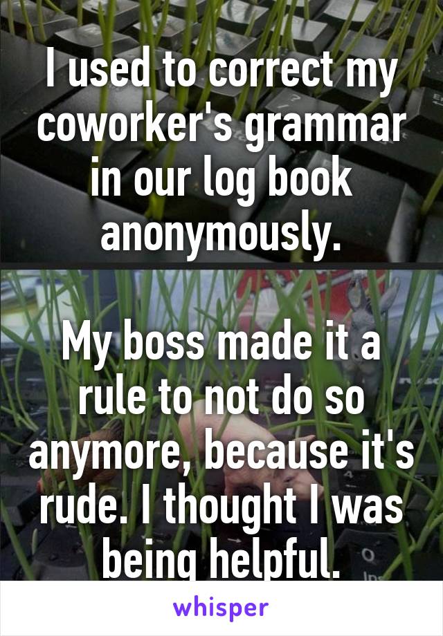 I used to correct my coworker's grammar in our log book anonymously.

My boss made it a rule to not do so anymore, because it's rude. I thought I was being helpful.