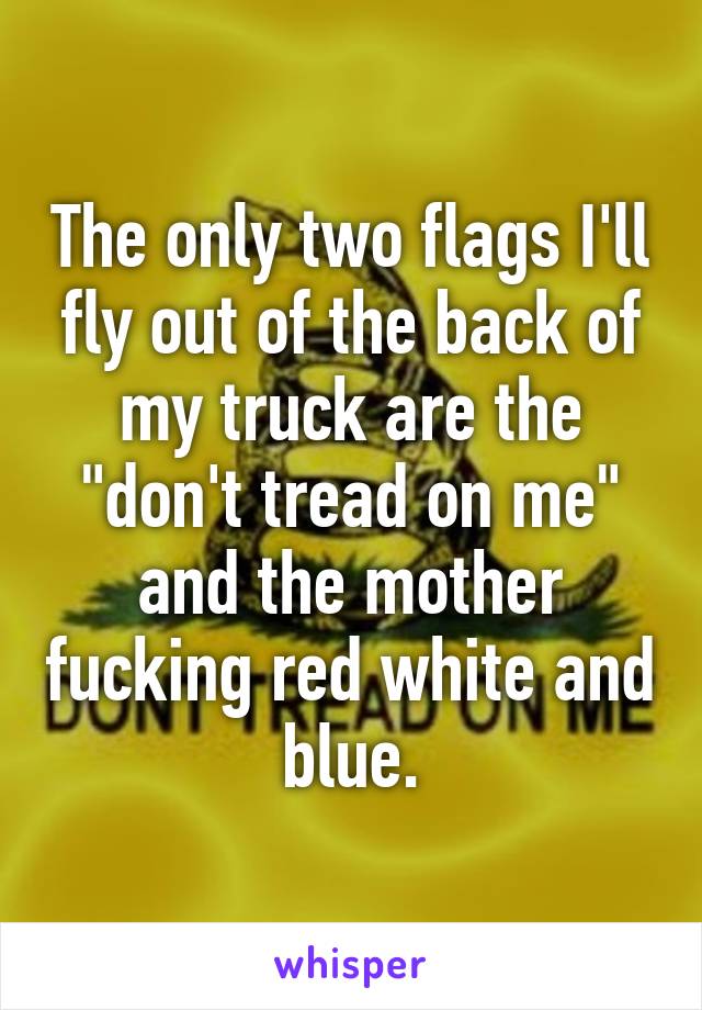 The only two flags I'll fly out of the back of my truck are the "don't tread on me" and the mother fucking red white and blue.