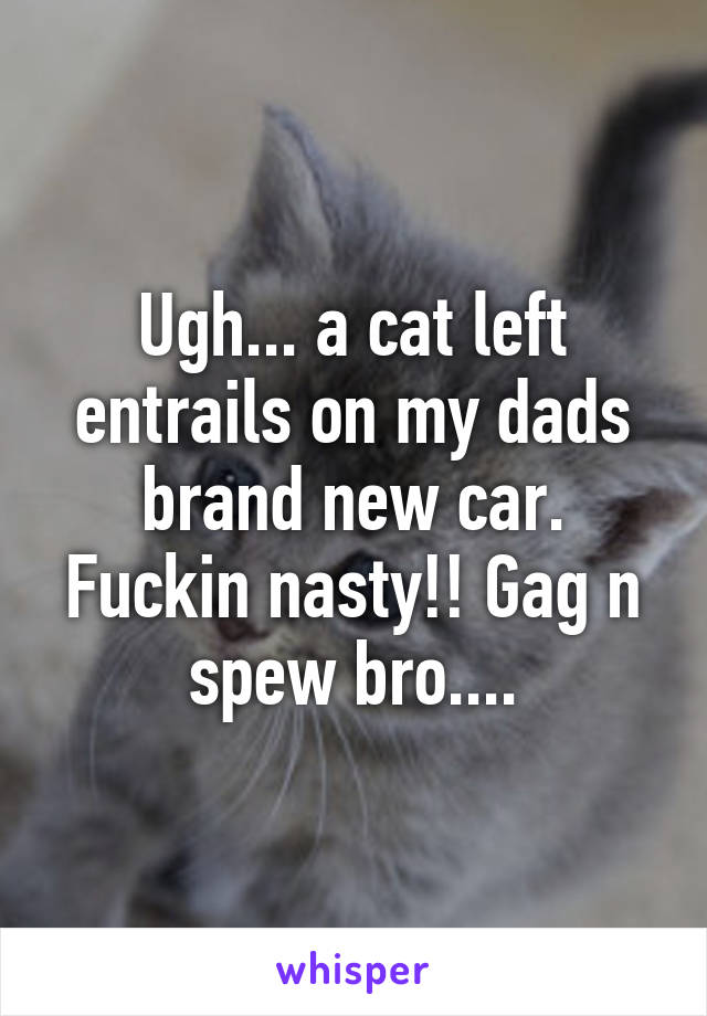 Ugh... a cat left entrails on my dads brand new car. Fuckin nasty!! Gag n spew bro....