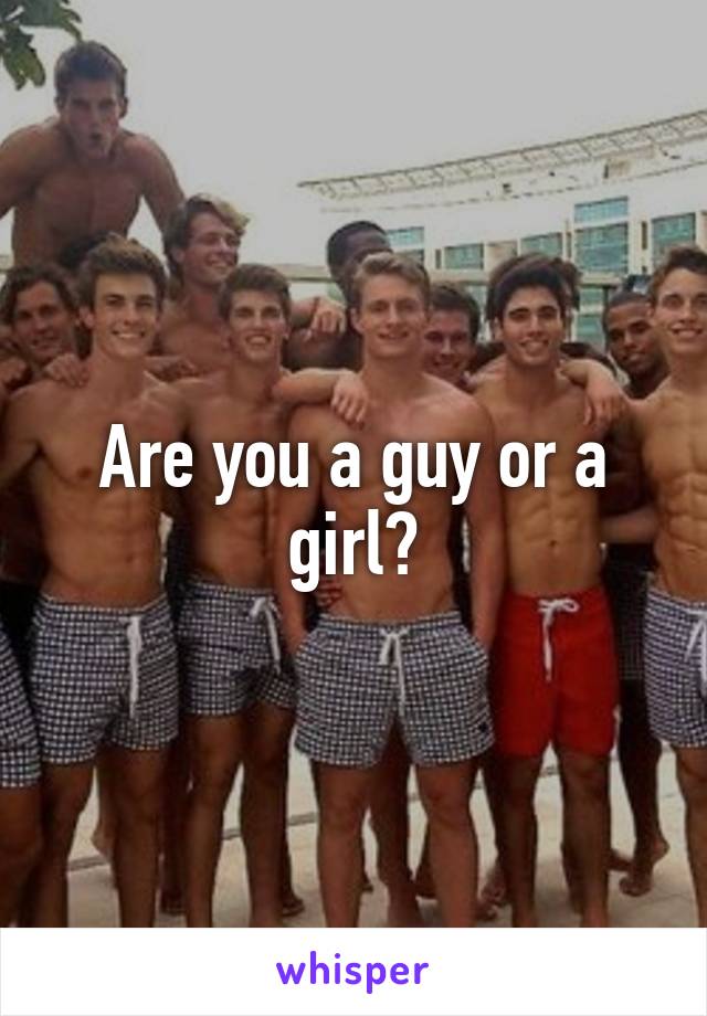 Are you a guy or a girl?