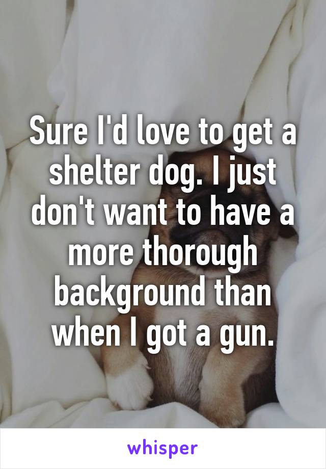 Sure I'd love to get a shelter dog. I just don't want to have a more thorough background than when I got a gun.