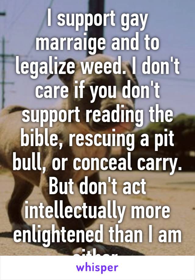 I support gay marraige and to legalize weed. I don't care if you don't support reading the bible, rescuing a pit bull, or conceal carry. But don't act intellectually more enlightened than I am either.