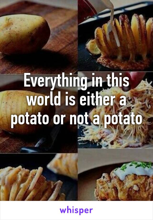 Everything in this world is either a potato or not a potato 