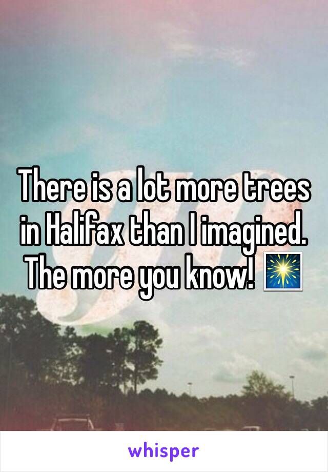 There is a lot more trees in Halifax than I imagined. The more you know! 🎆