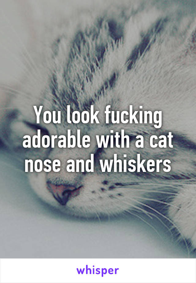 You look fucking adorable with a cat nose and whiskers