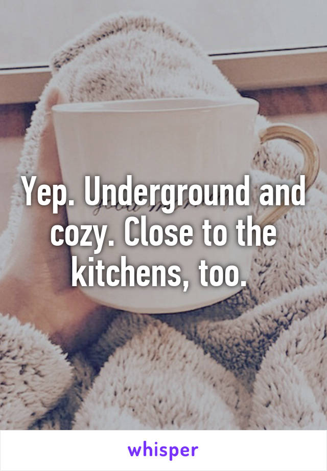 Yep. Underground and cozy. Close to the kitchens, too. 