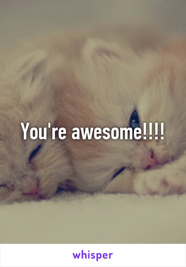 You're awesome!!!!